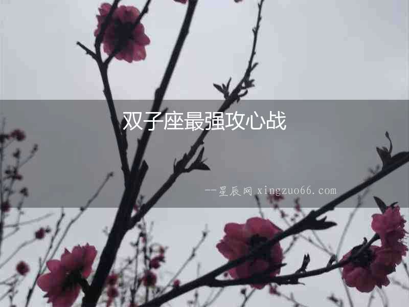 雙子座最強攻心戰