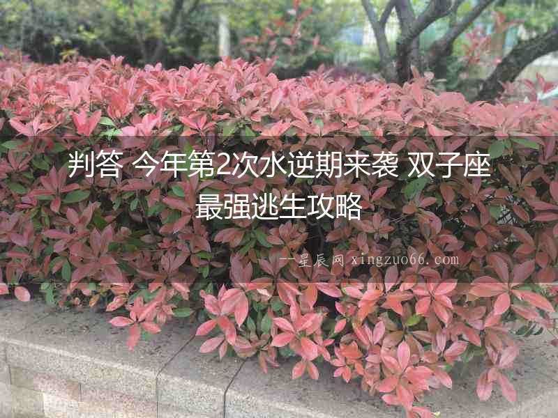 判答 今年第2次水逆期來襲 雙子座最強(qiáng)逃生攻略