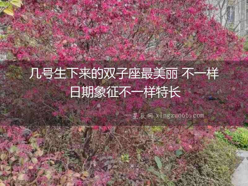 幾號生下來的雙子座最美麗 不一樣日期象征不一樣特長