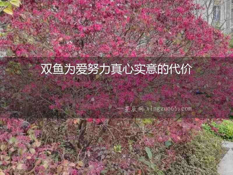 雙魚為愛努力真心實意的代價