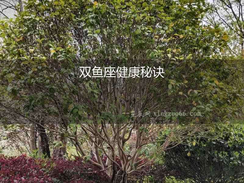 雙魚座健康秘訣