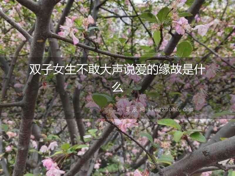 雙子女生不敢大聲說愛的緣故是什么
