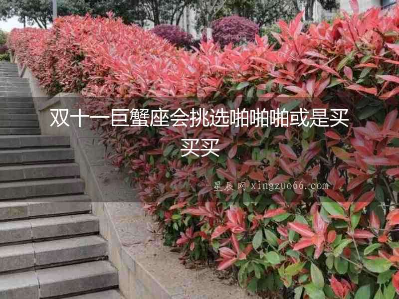 雙十一巨蟹座會挑選啪啪啪或是買買買