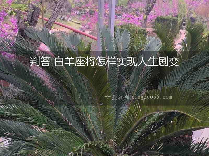 判答 白羊座將怎樣實現人生劇變