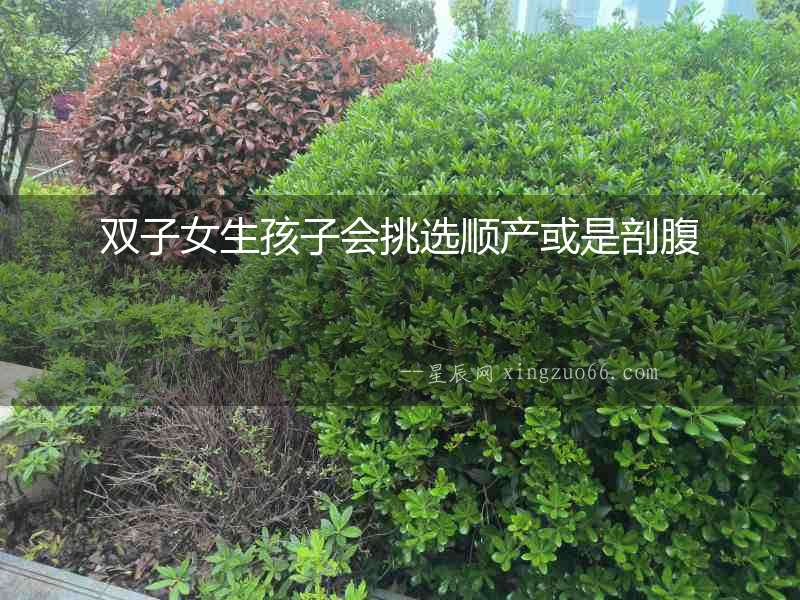 雙子女生孩子會挑選順產或是剖腹