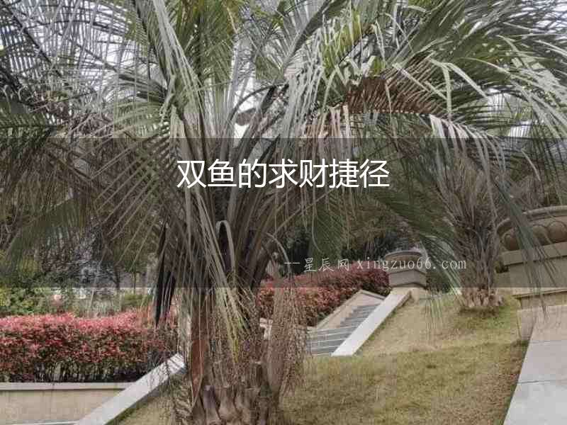 雙魚的求財捷徑