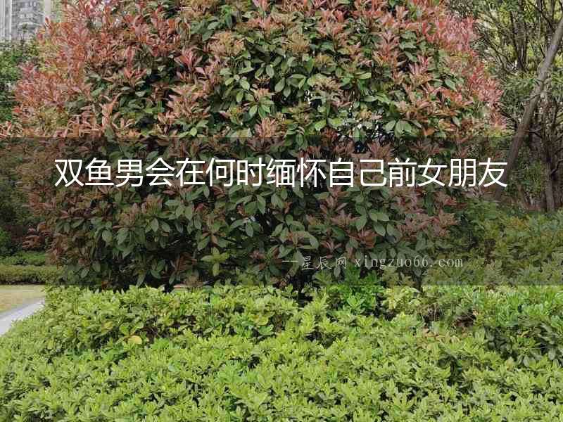 雙魚男會在何時緬懷自己前女朋友