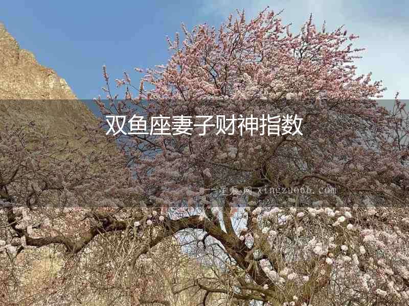 雙魚座妻子財神指數