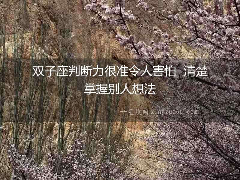 雙子座判斷力很準令人害怕  清楚掌握別人想法