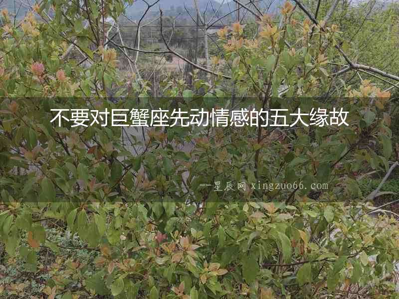 不要對(duì)巨蟹座先動(dòng)情感的五大緣故
