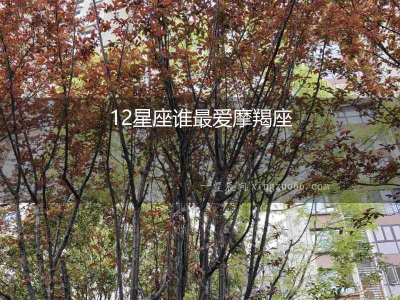 12星座誰最愛摩羯座