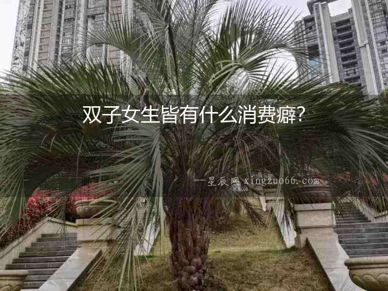 雙子女生皆有什么消費癖？