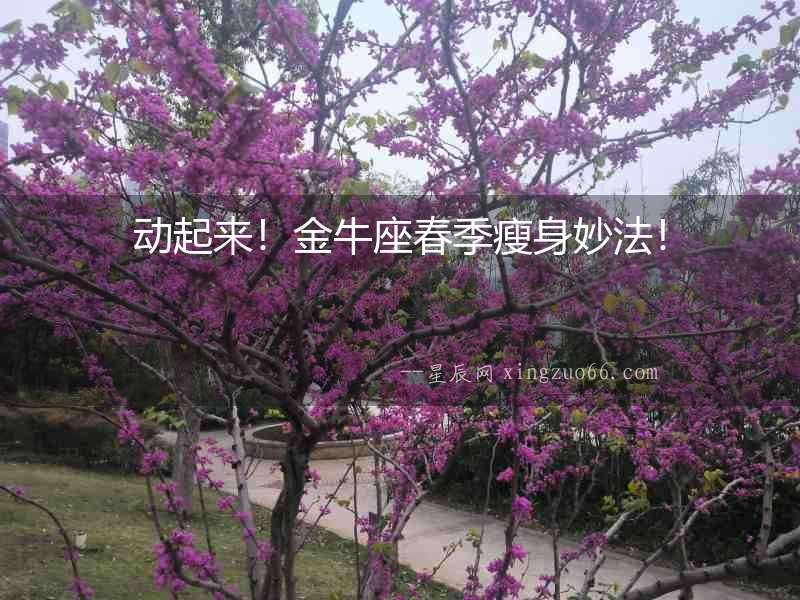 動起來！金牛座春季瘦身妙法！