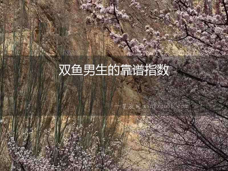 雙魚男生的靠譜指數