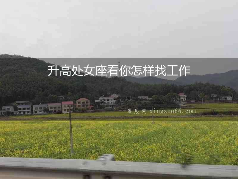 升高處女座看你怎樣找工作