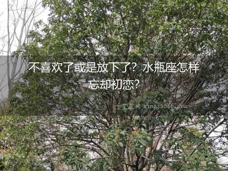 不喜歡了或是放下了？水瓶座怎樣忘卻初戀？