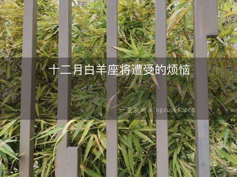 十二月白羊座將遭受的煩惱
