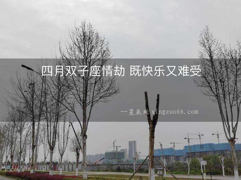 四月雙子座情劫 既快樂又難受