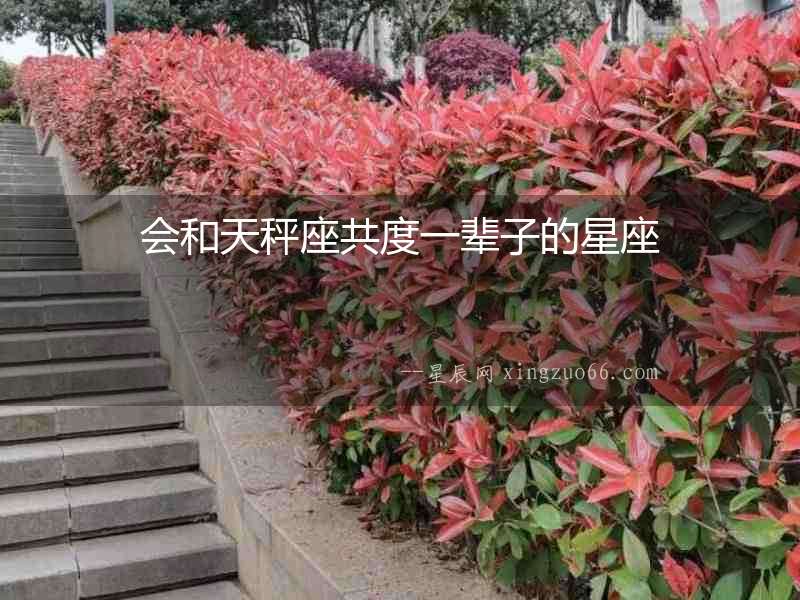 會(huì)和天秤座共度一輩子的星座