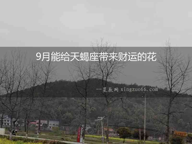 9月能給天蝎座帶來財運的花