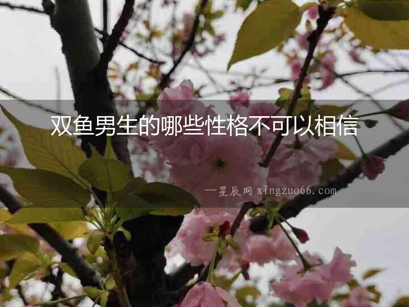 雙魚男生的哪些性格不可以相信