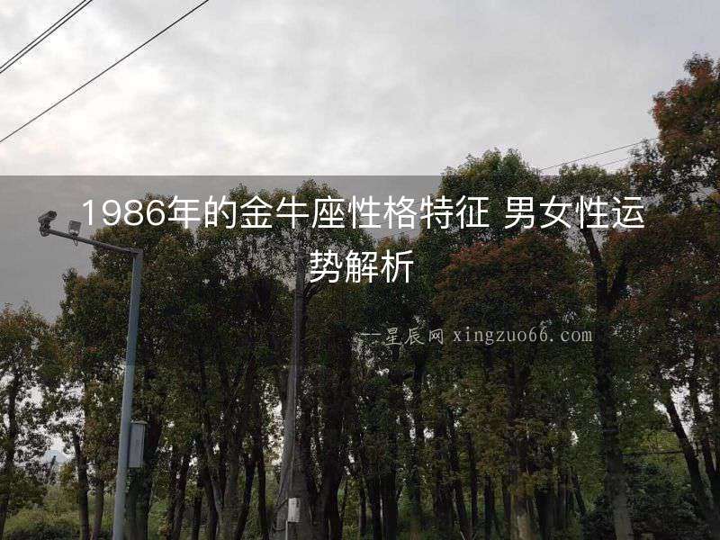 1986年的金牛座性格特征 男女性運勢解析