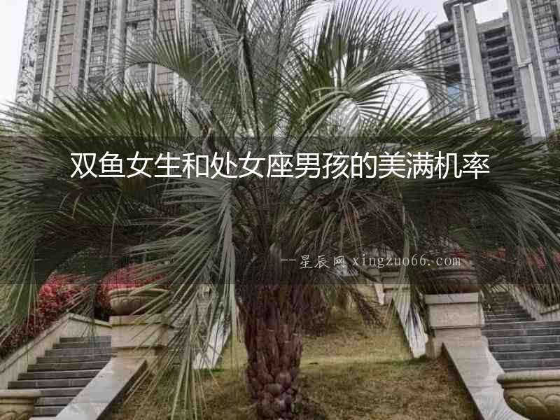 雙魚女生和處女座男孩的美滿機率