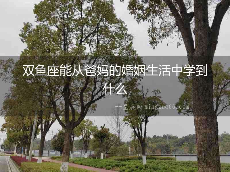 雙魚座能從爸媽的婚姻生活中學(xué)到什么