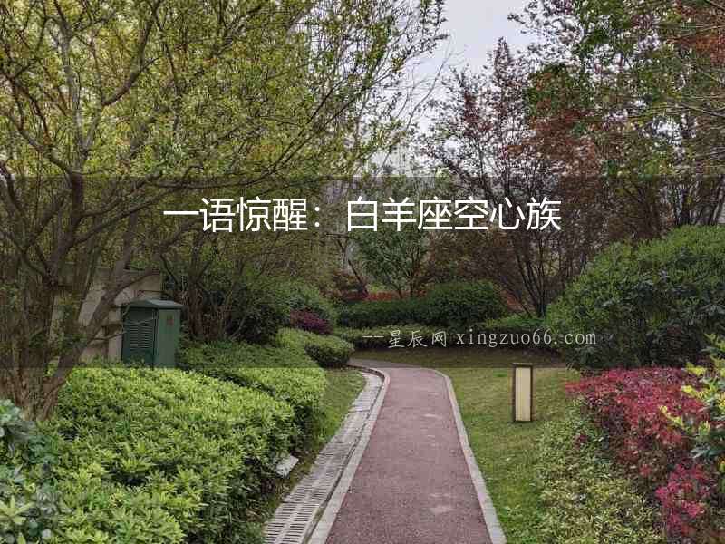 一語驚醒：白羊座空心族