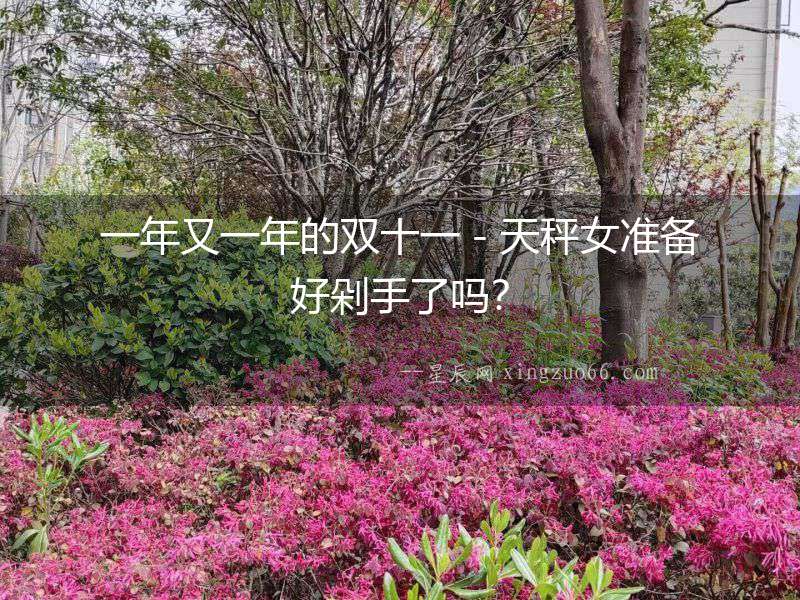 一年又一年的雙十一－天秤女準備好剁手了嗎？