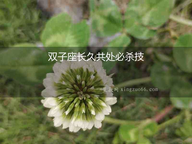 雙子座長久共處必殺技