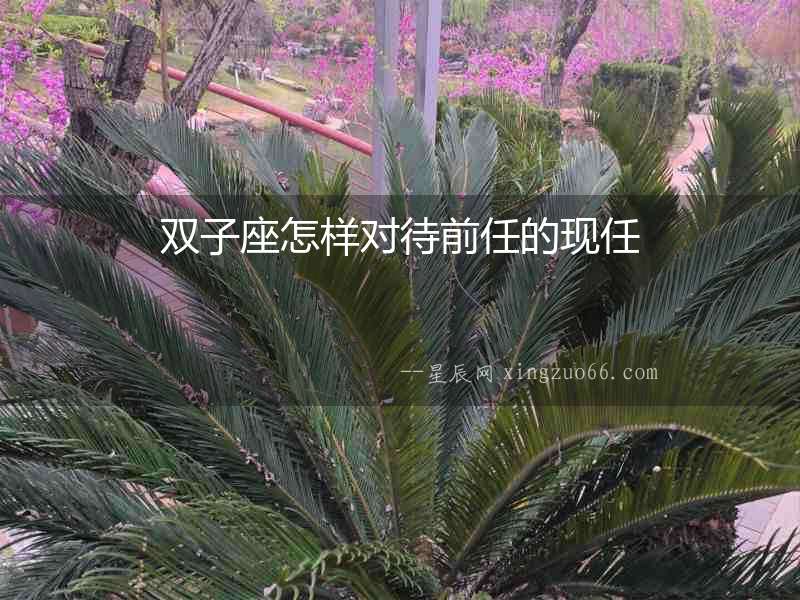 雙子座怎樣對待前任的現任