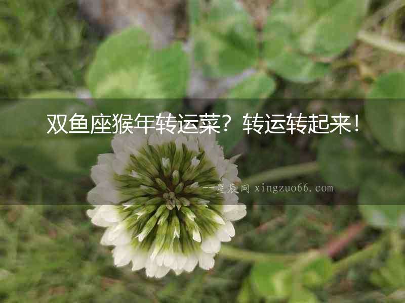 雙魚座猴年轉運菜？轉運轉起來！