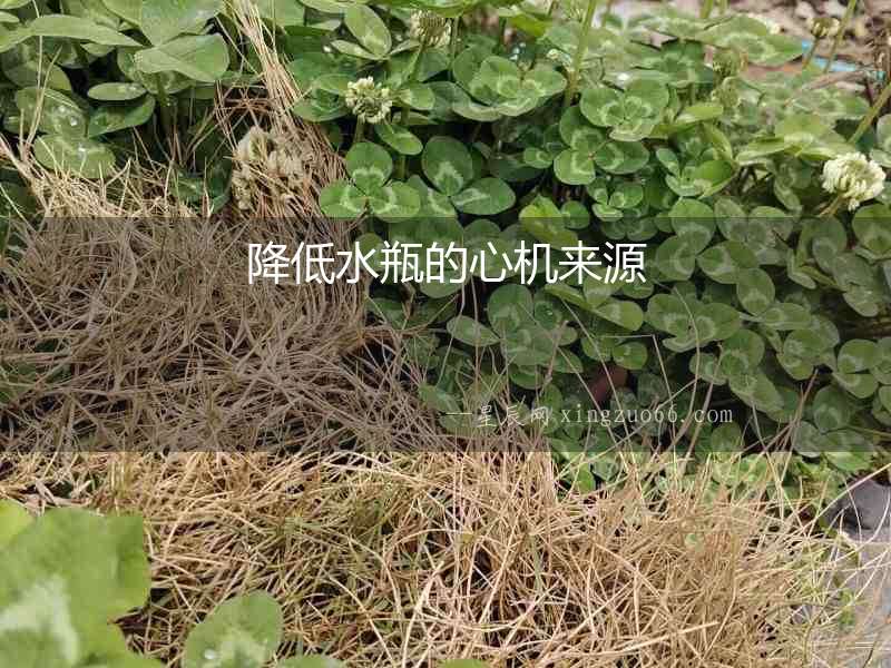 降低水瓶的心機來源