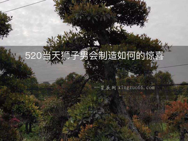 520當(dāng)天獅子男會(huì)制造如何的驚喜