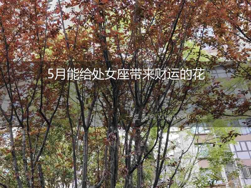5月能給處女座帶來財運的花