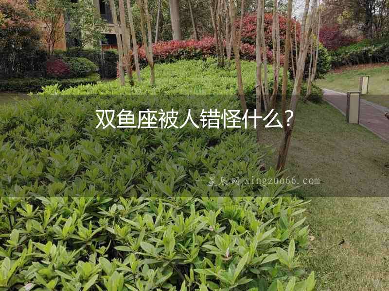 雙魚座被人錯怪什么？