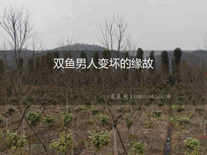 雙魚男人變壞的緣故
