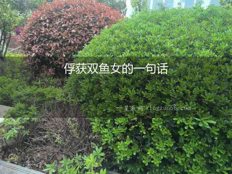 俘獲雙魚女的一句話