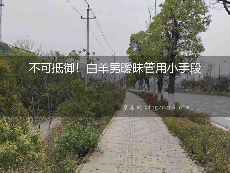 不可抵御！白羊男曖昧管用小手段