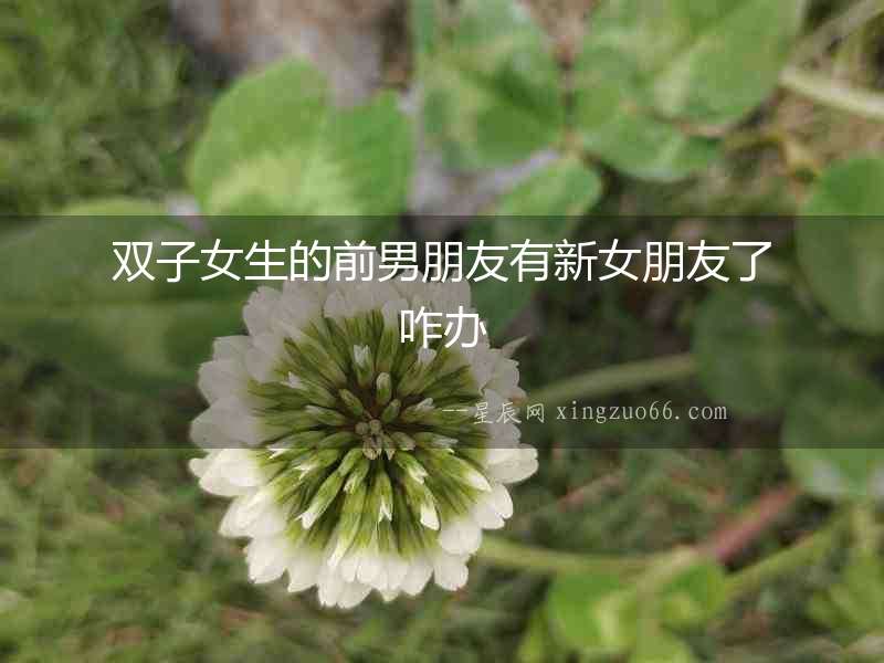 雙子女生的前男朋友有新女朋友了咋辦