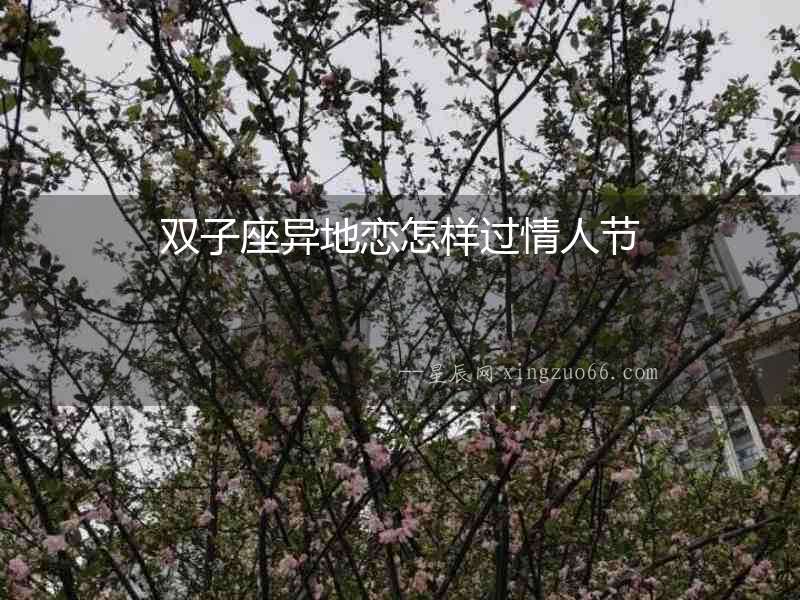 雙子座異地戀怎樣過情人節(jié)