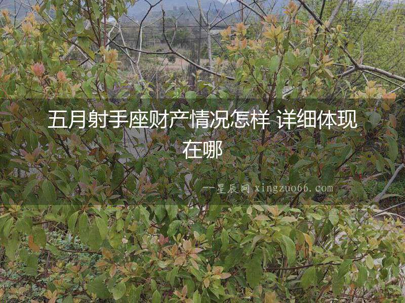 五月射手座財產情況怎樣 詳細體現在哪