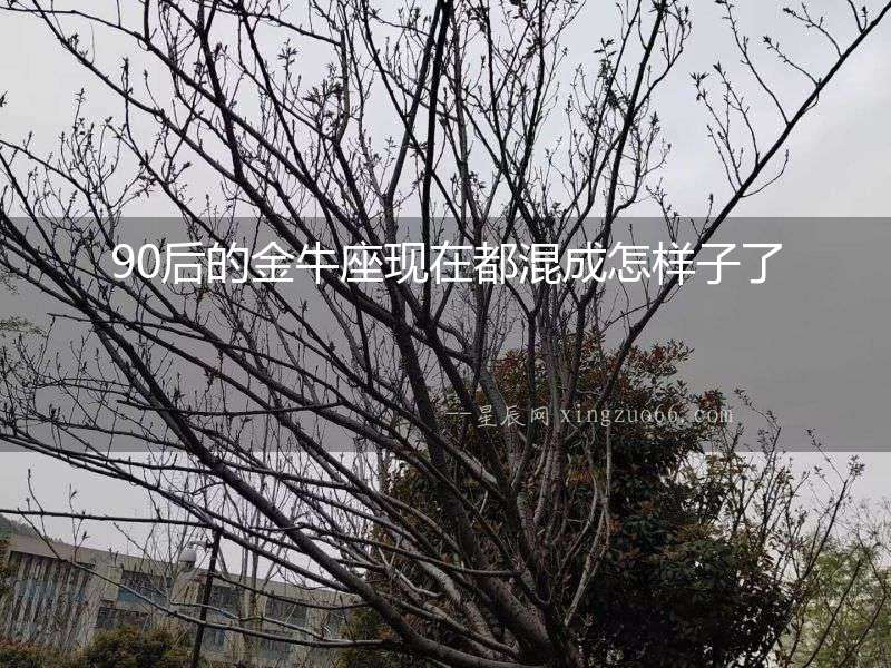90后的金牛座現在都混成怎樣子了