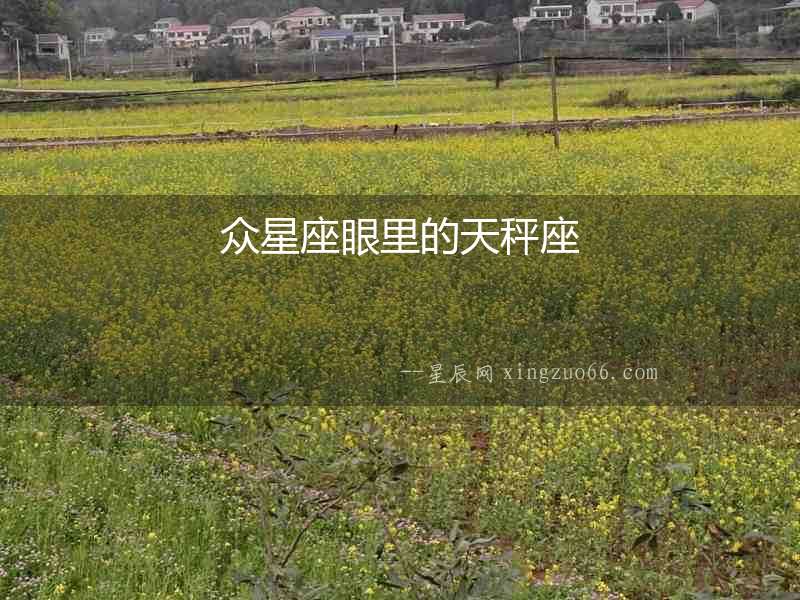眾星座眼里的天秤座