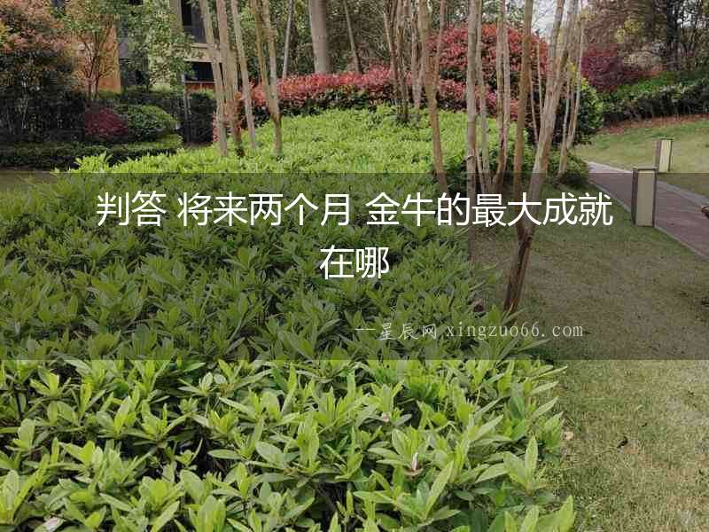 判答 將來兩個月 金牛的最大成就在哪