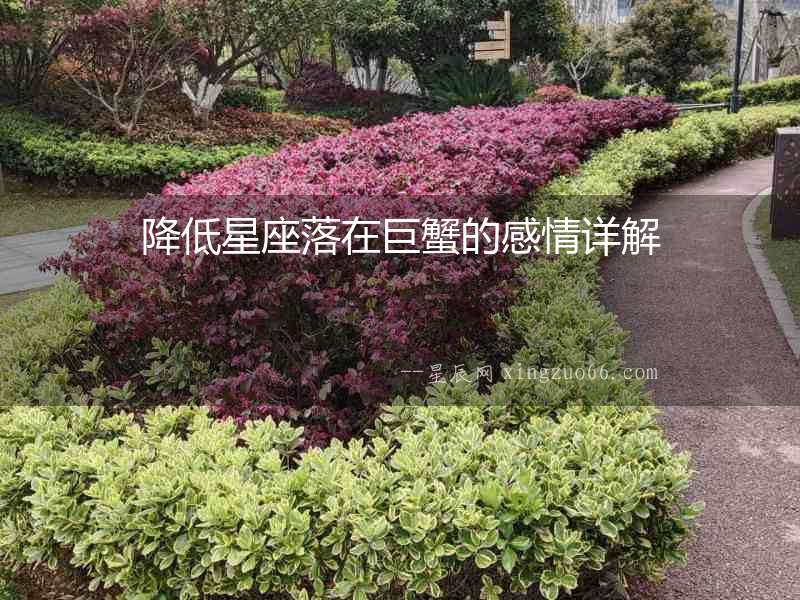 降低星座落在巨蟹的感情詳解