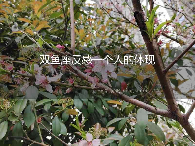 雙魚座反感一個人的體現