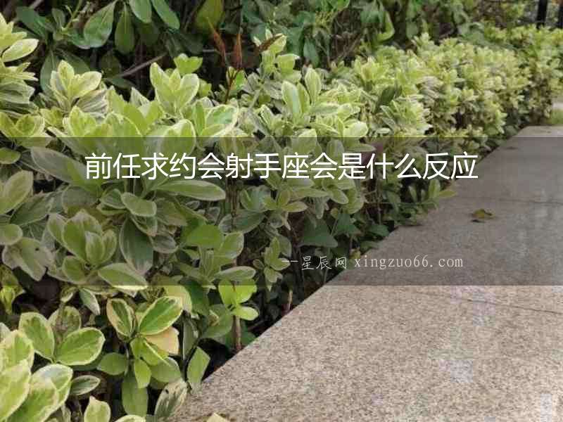 前任求約會射手座會是什么反應