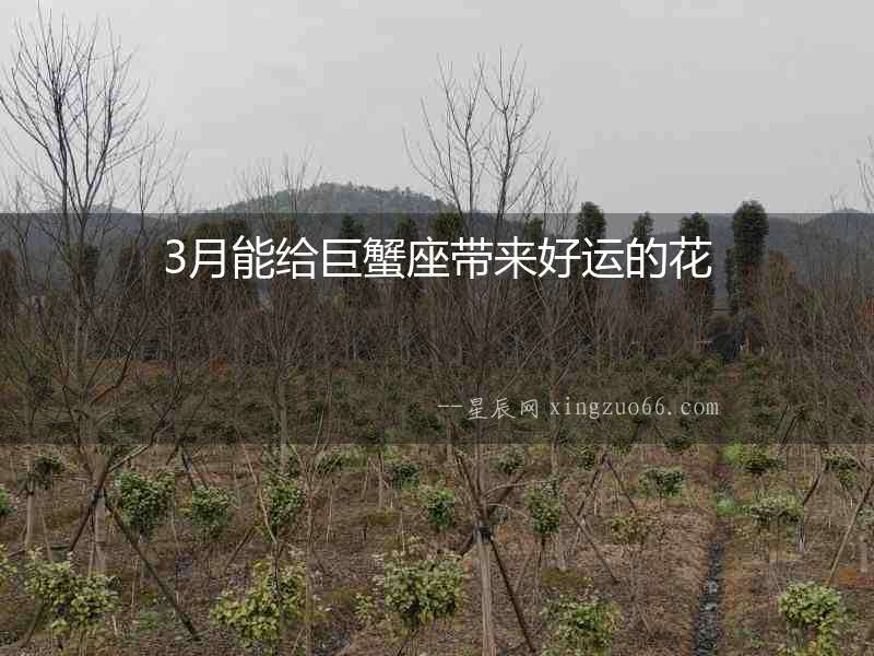 3月能給巨蟹座帶來好運的花